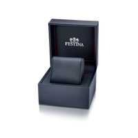 Watch Festina in Steel F20035/2 - F20035/2